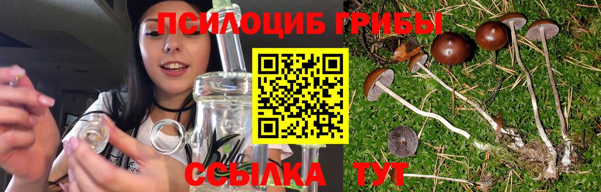 Галлюциногенные грибы MAGIC MUSHROOMS Тамбов