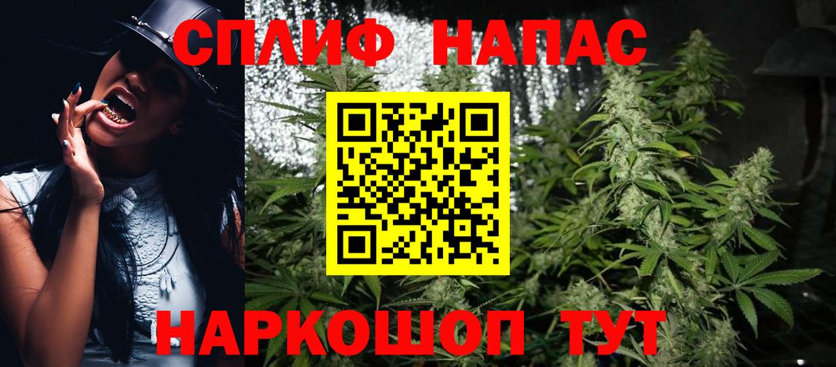 Конопля гибрид Тамбов